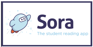 Sora Logo